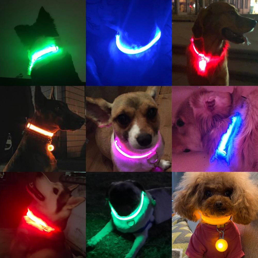 LedCollar™ - Collier à LED rechargeable pour chien - NOBU.DOG.BOUTIQUE