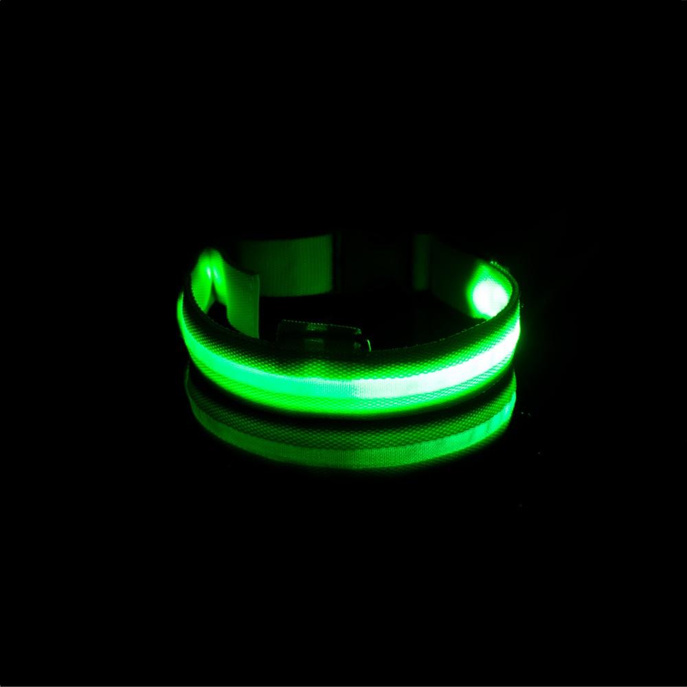 LedCollar™ - Collier à LED rechargeable pour chien - NOBU.DOG.BOUTIQUE