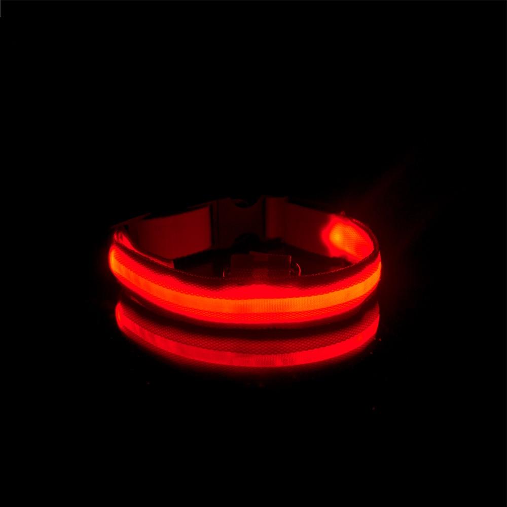 LedCollar™ - Collier à LED rechargeable pour chien - NOBU.DOG.BOUTIQUE